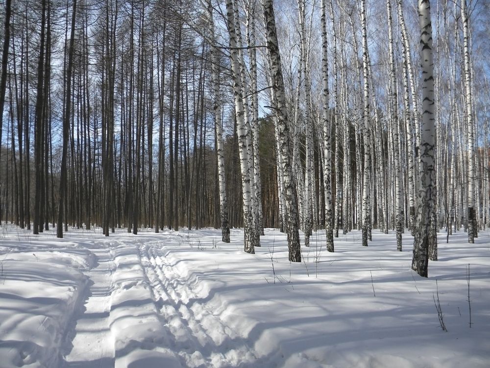 Photograph by Алексей Патлах