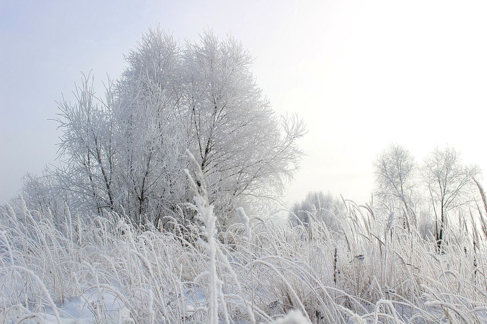 Photograph by Сивакова Виктория