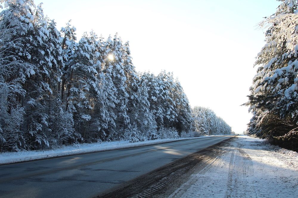 Photograph by Сивакова Виктория