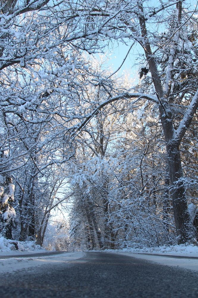 Photograph by Сивакова Виктория