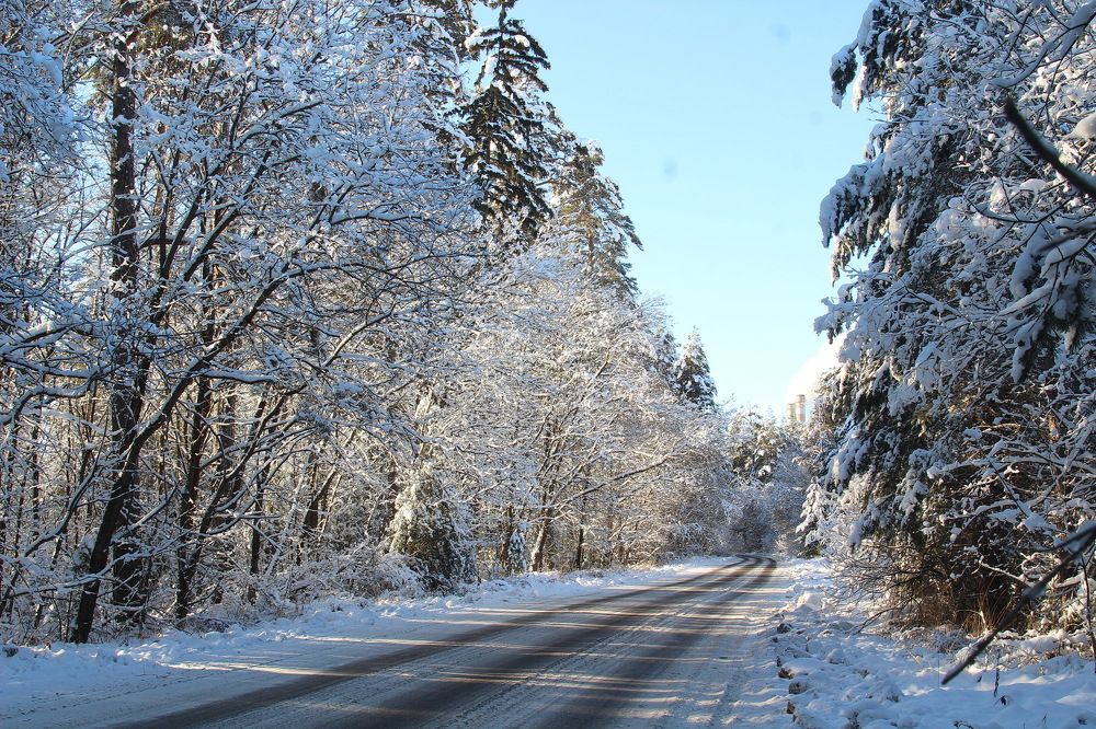 Photograph by Сивакова Виктория