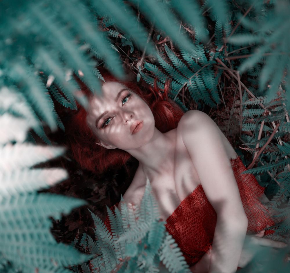 Фотография автора Станислав Ефимов