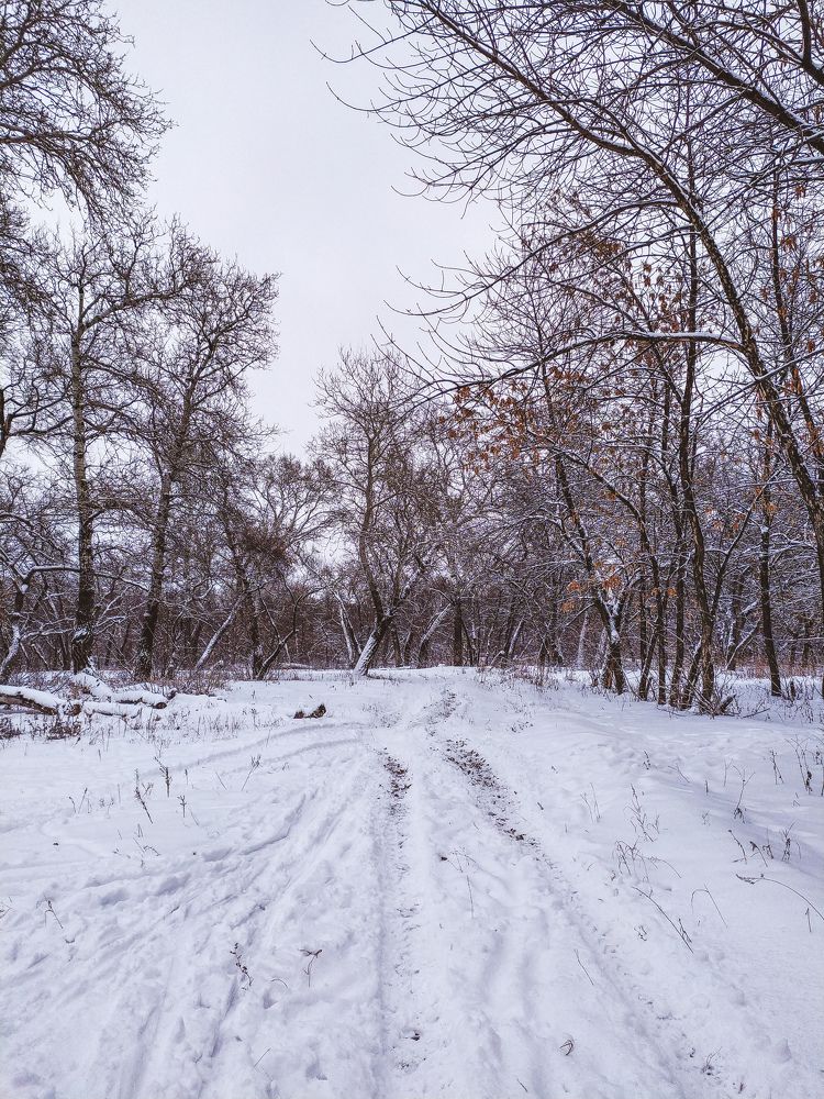 Фотография автора Юлия Гантимурова