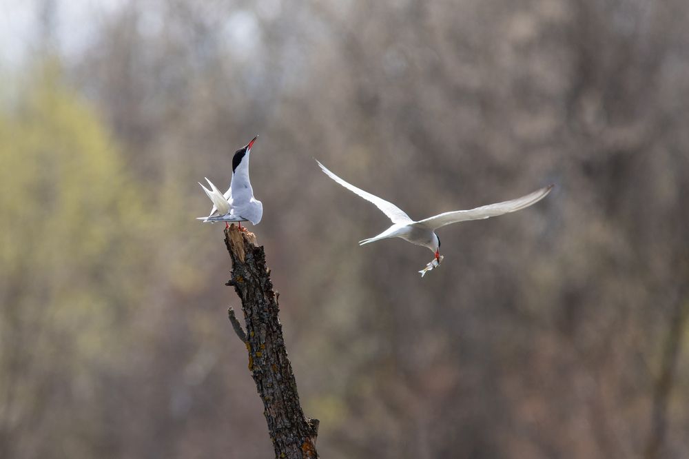 Photograph by Евгения Севрюкова