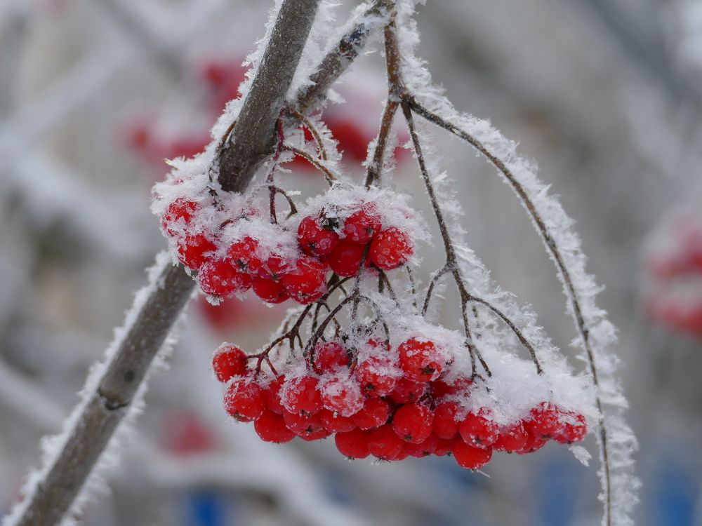 Photograph by Александр Кизим