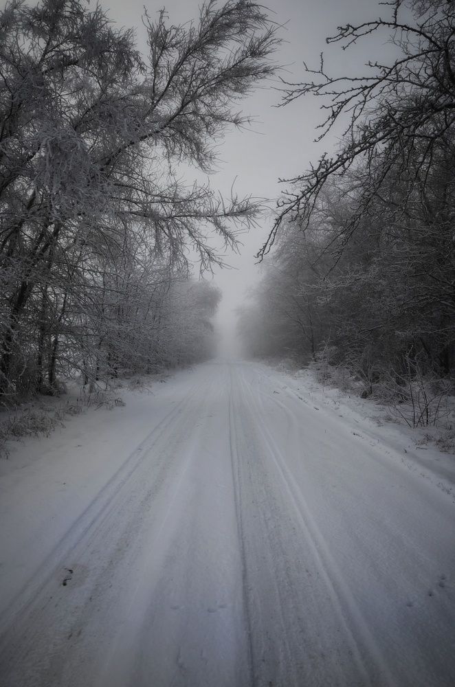 Дорога в зиму