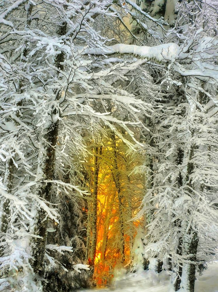 На свет заката