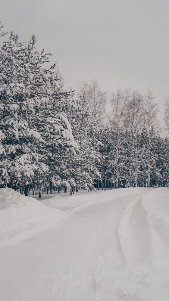 Photograph by Альбина Муртазина