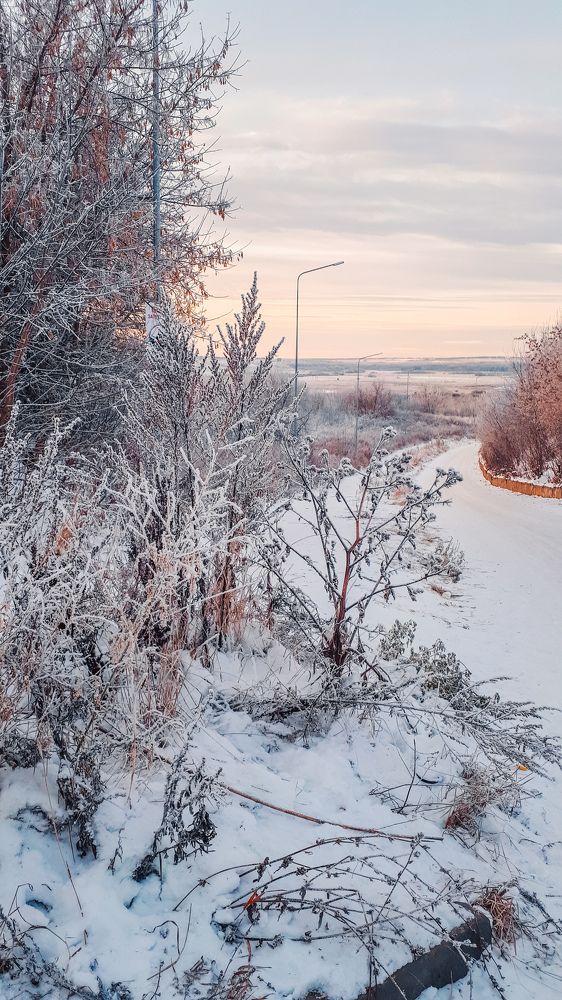 Photograph by Альбина Муртазина