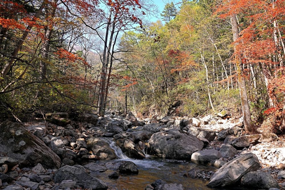 Photograph by Анастасия