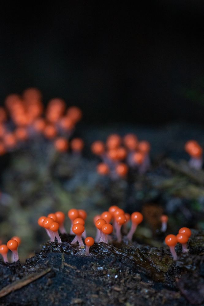 Photograph by Евгения Севрюкова