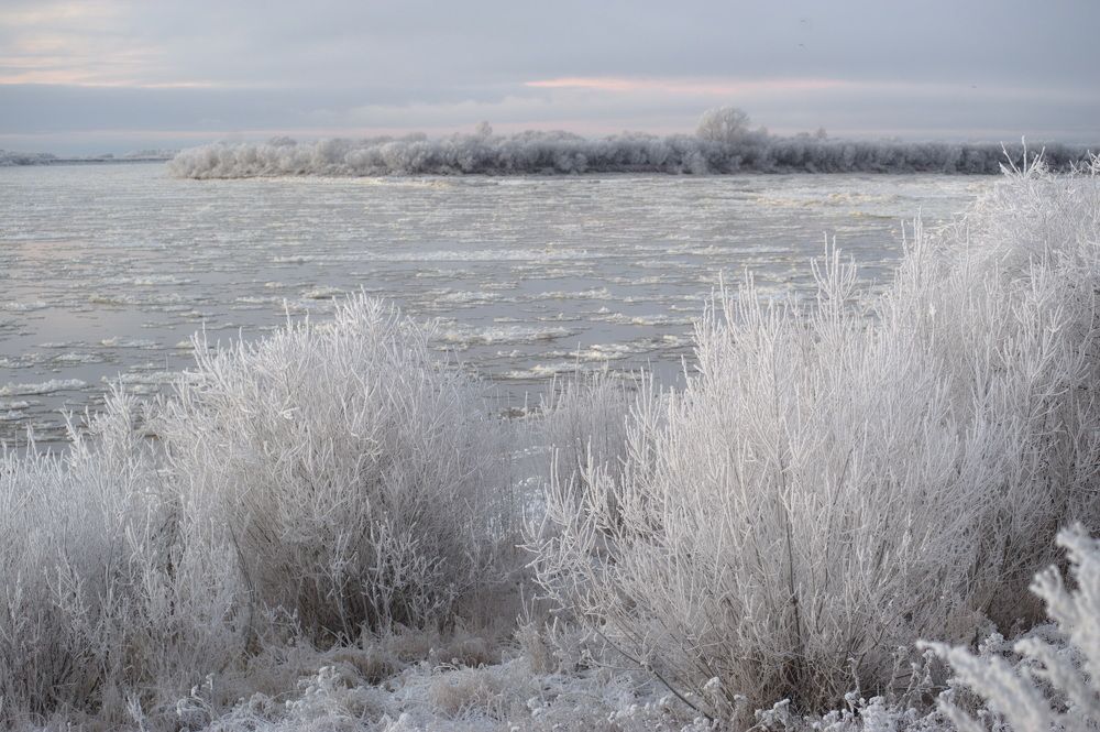 Photograph by Алексей Шехонин