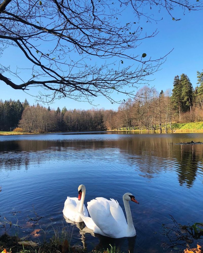 Photograph by Лариса Акинчиц