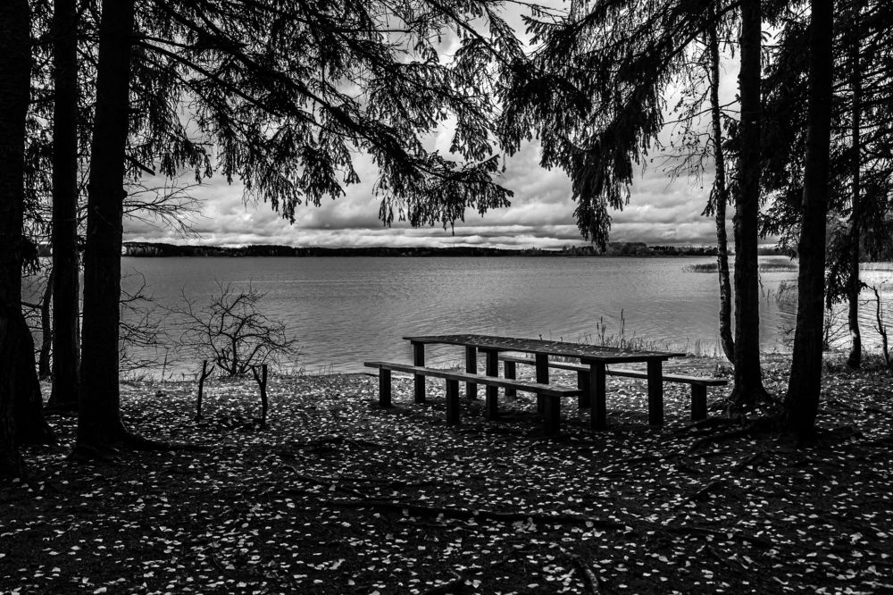 Photograph by Андрей Слынченко