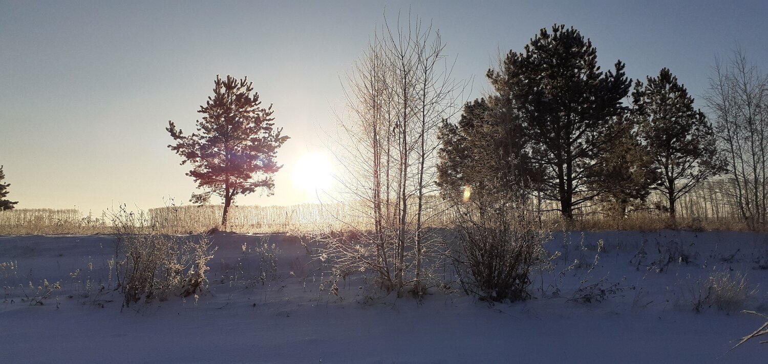 Photo #8480444