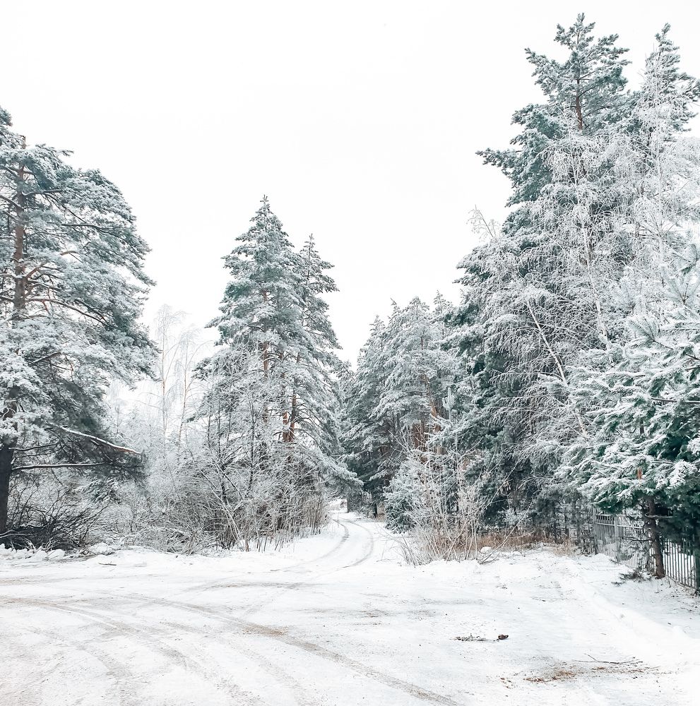 Photograph by Ольга