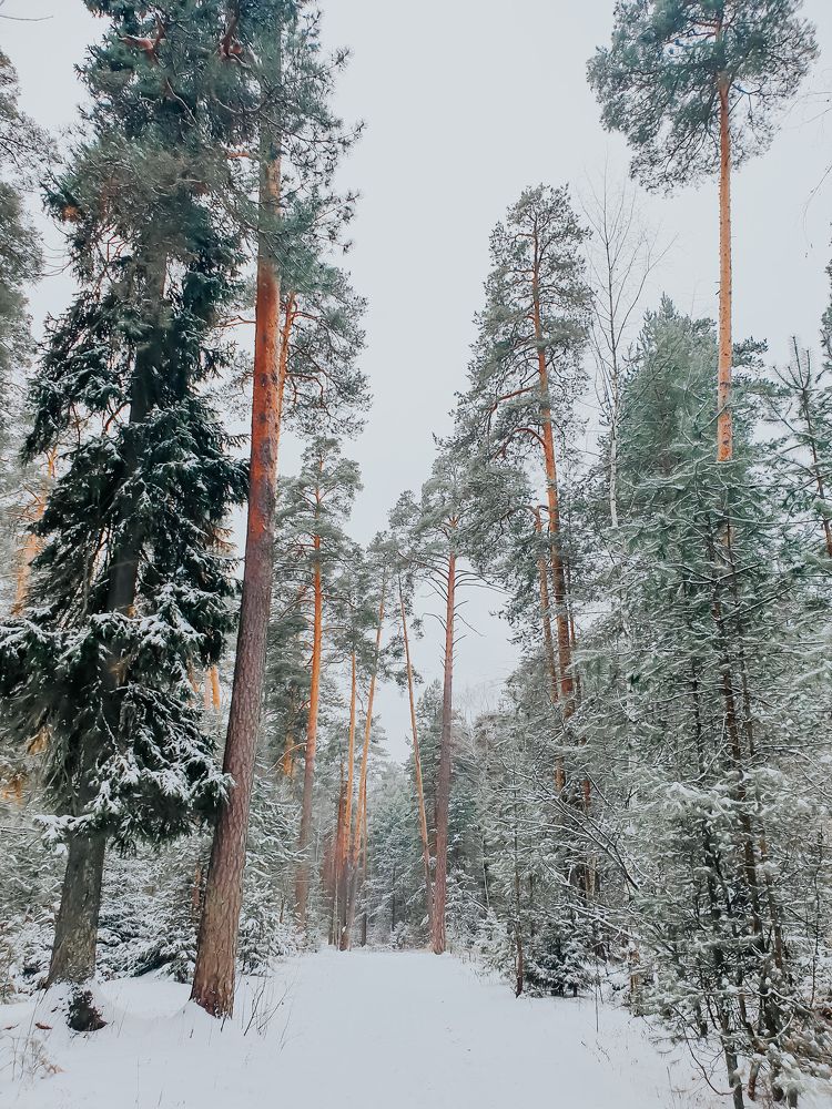 Photograph by Ольга