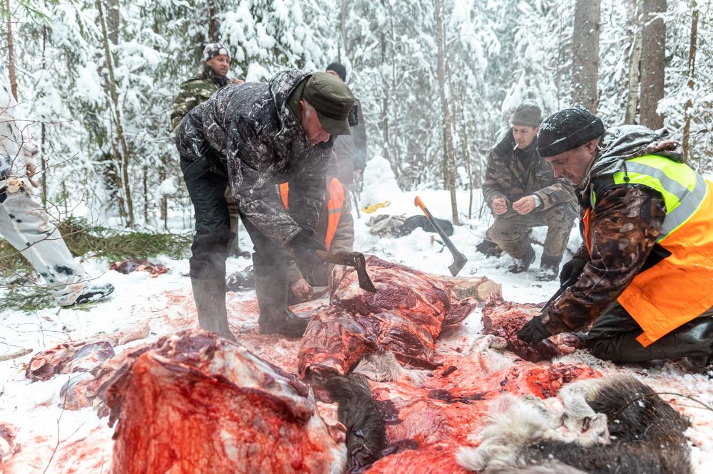 Photograph by Андрей Слынченко