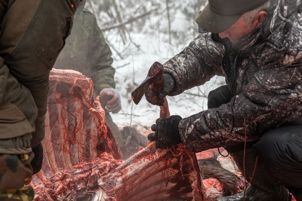 Photograph by Андрей Слынченко