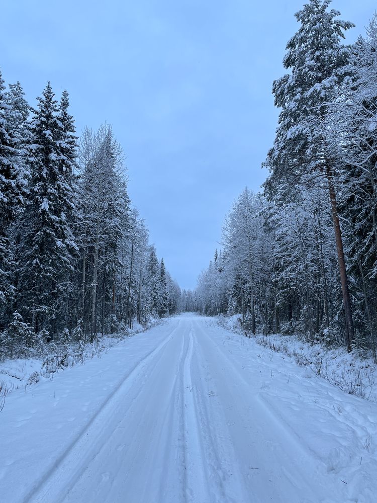 Photograph by Юлия Коншина