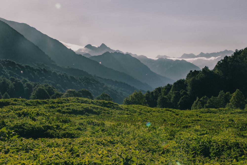 Фотография автора OXANA MARSOVA