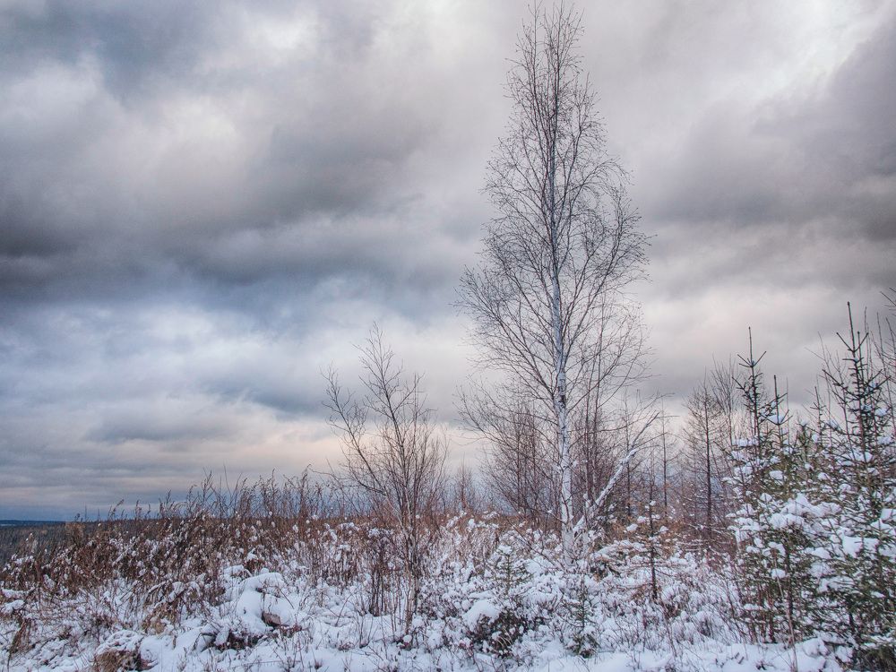 Photograph by Константин Терёхин