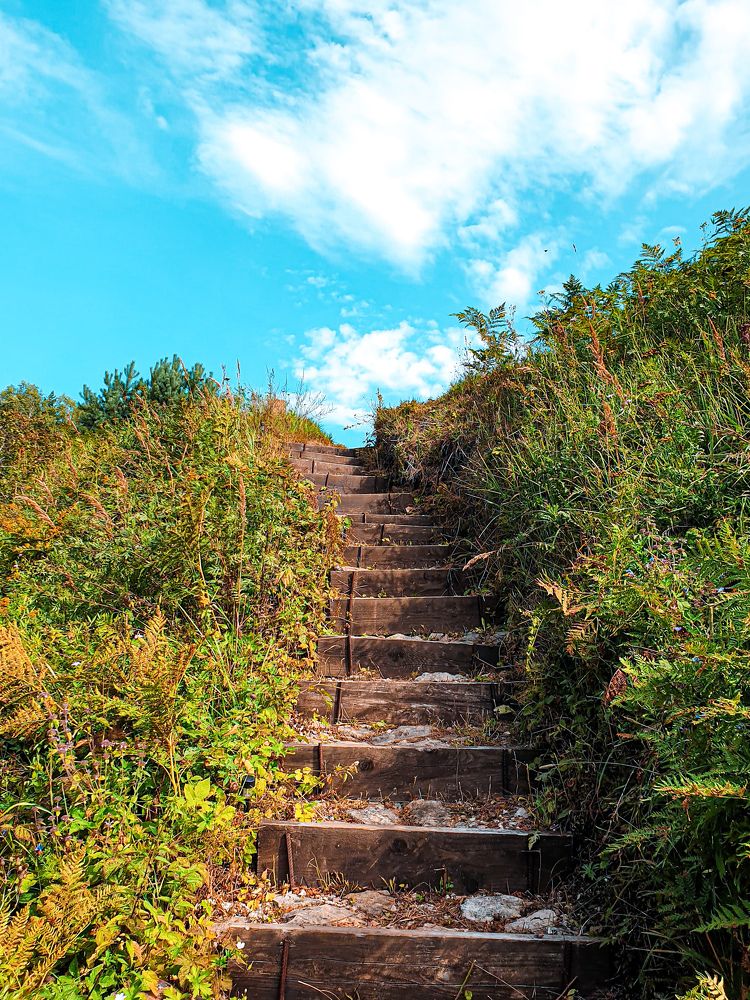 Photograph by Ольга