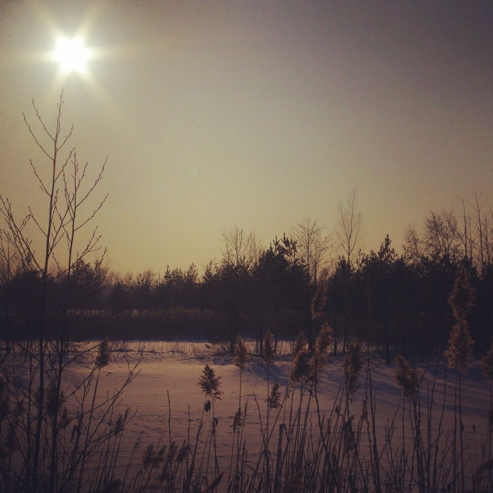 Photograph by Анастасия