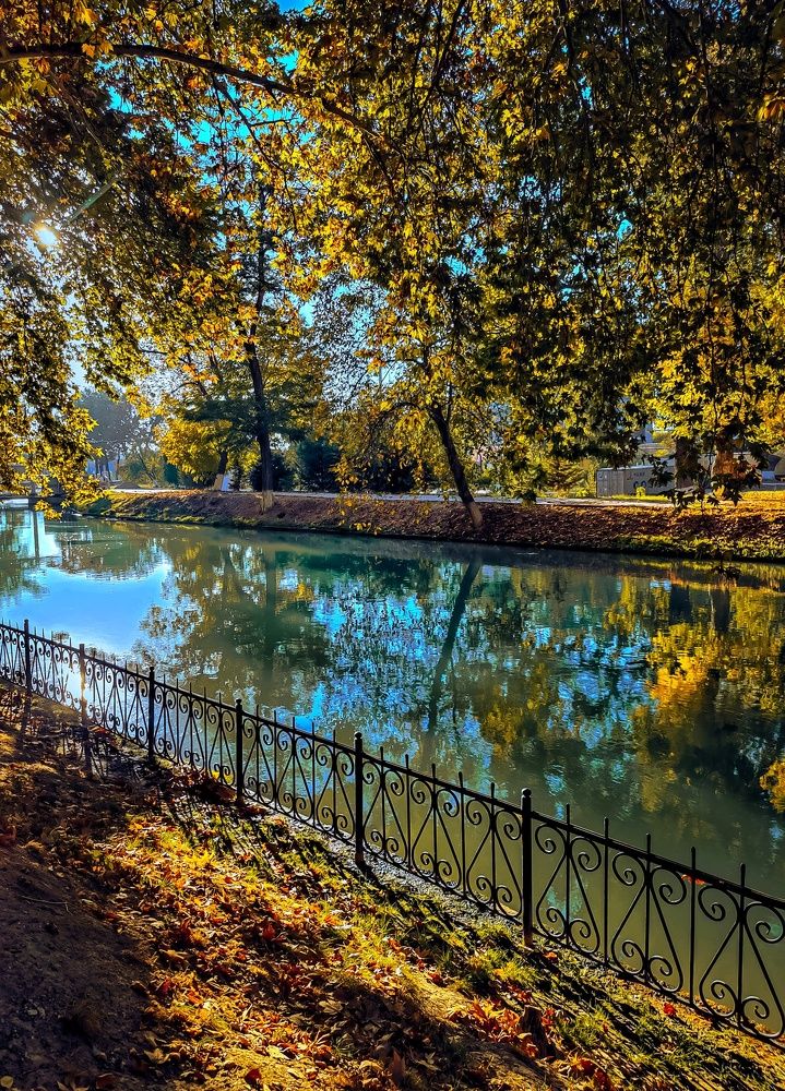 Photograph by Irina Grass