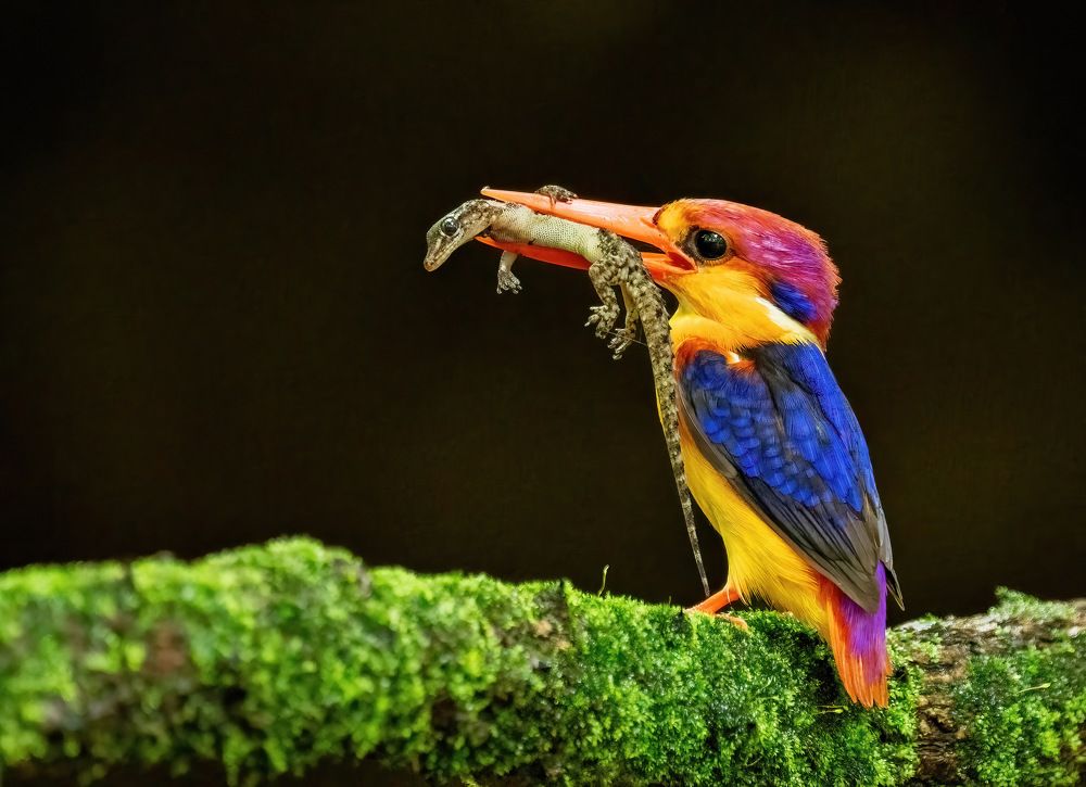 Photograph by Nitin Baste