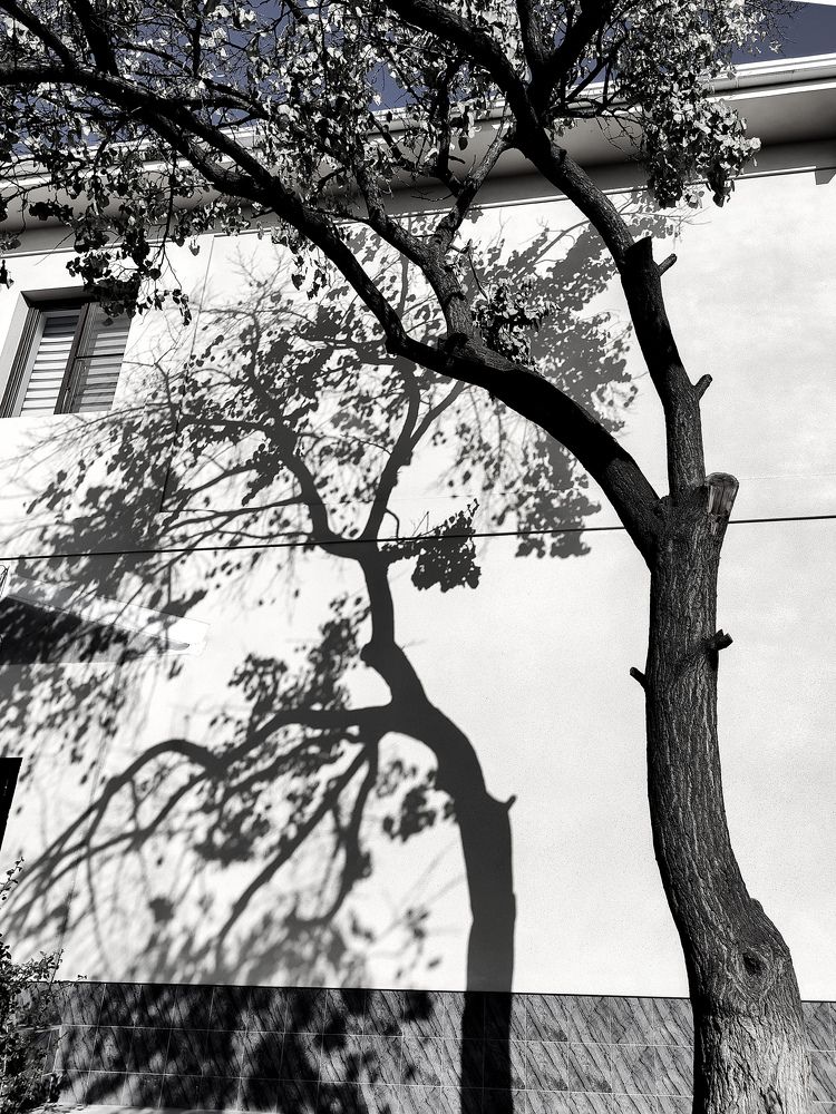 Photograph by Irina Grass