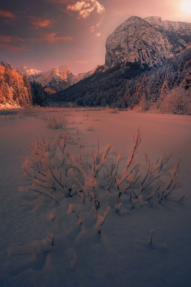 Photograph by Anastasios Gialopoulos