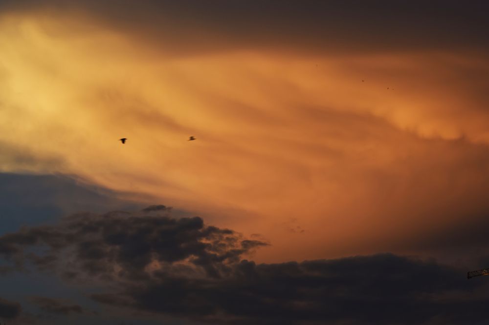 Photograph by shashiranjan prakash