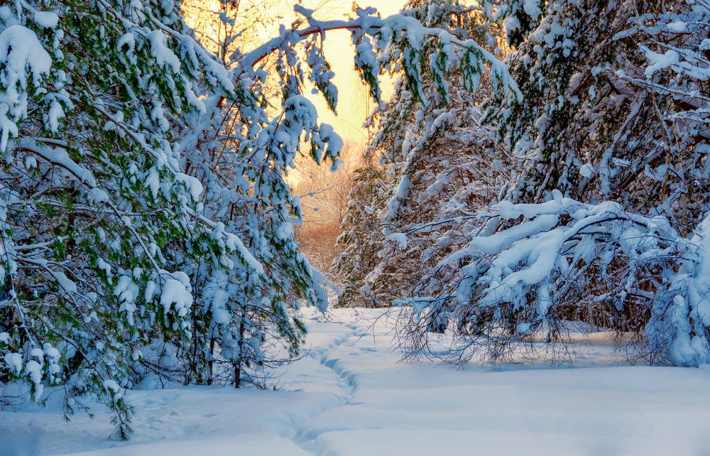 Photograph by Светлана Ващенко
