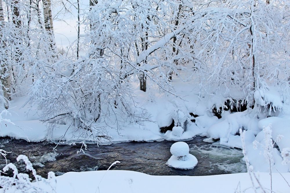 Снежно. Нежно. Волшебно.