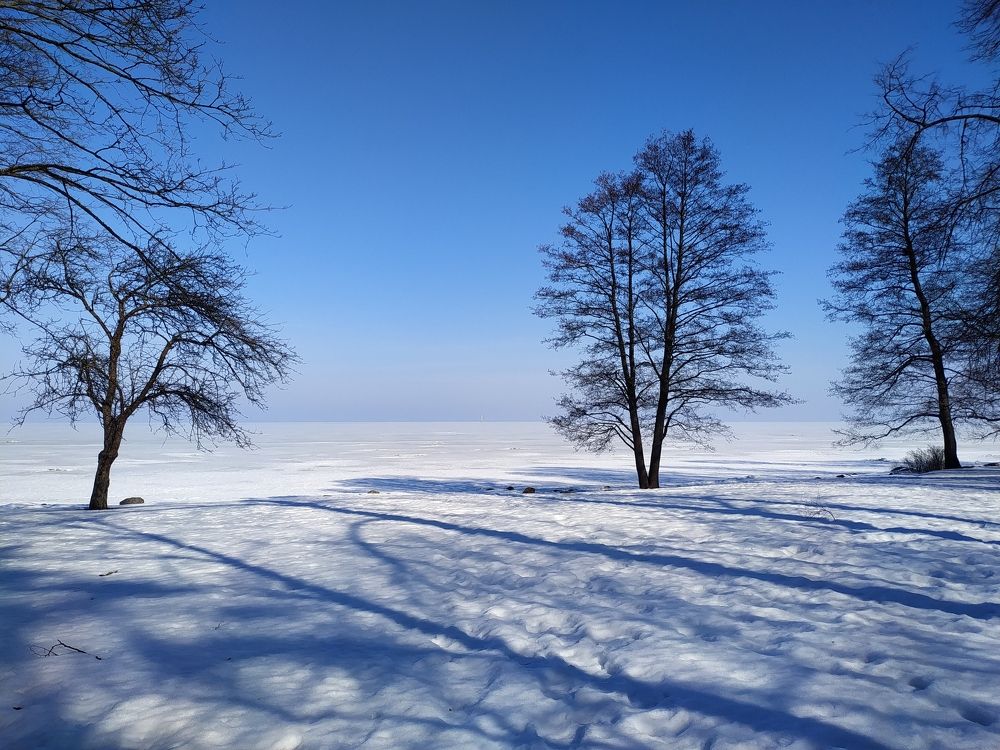 Мороз и солнце