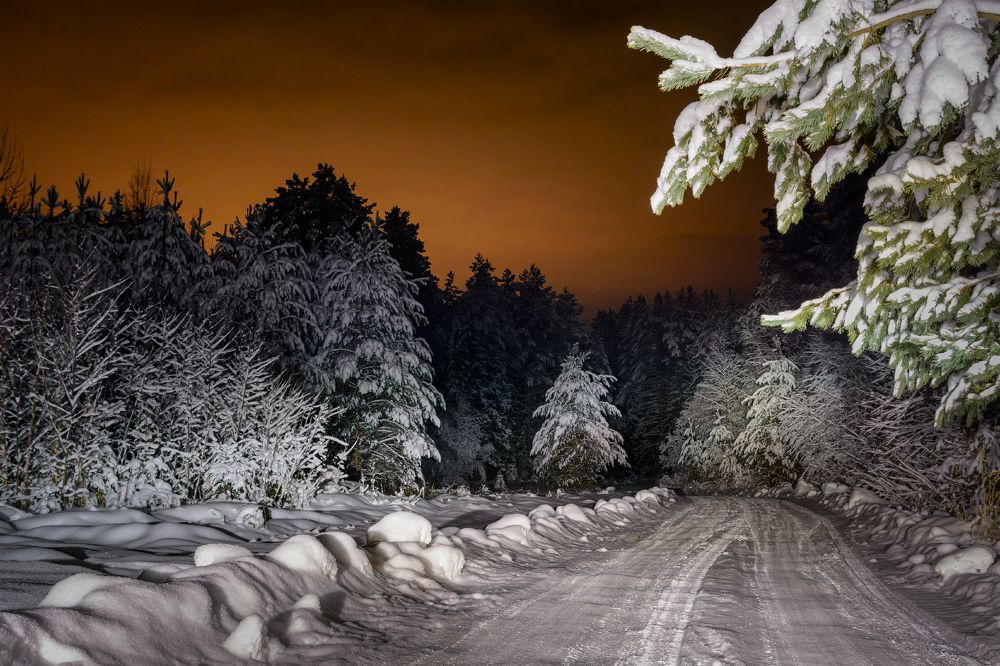 Photograph by Светлана Ващенко