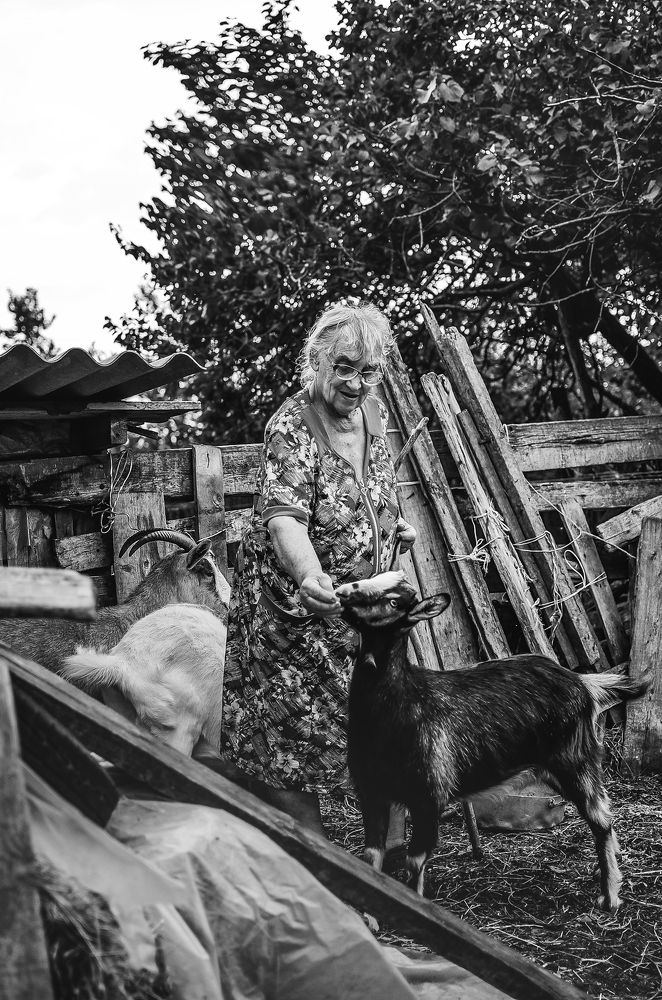 Фотография автора Романова Инга