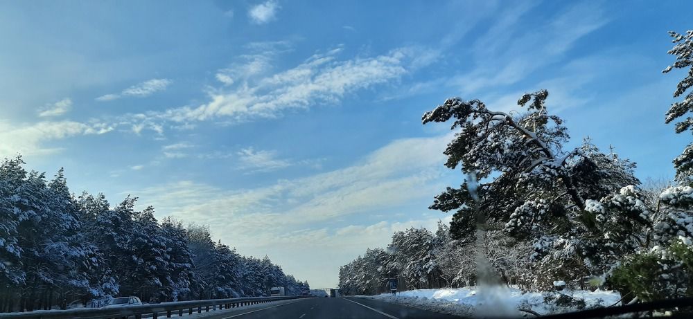 Photo #8480641