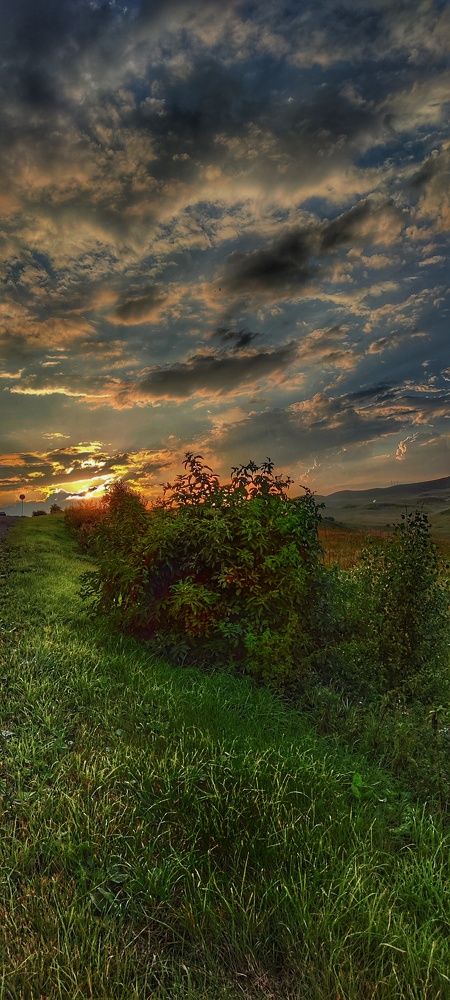 Photograph by Нина Иоселиани