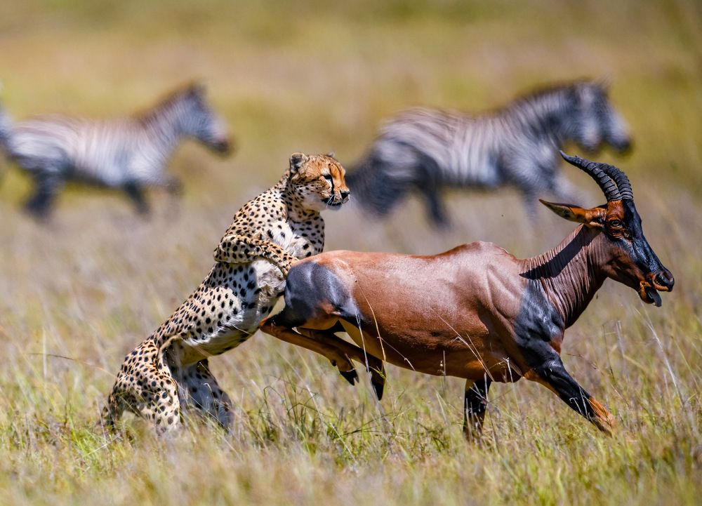 Photograph by Nitin Baste