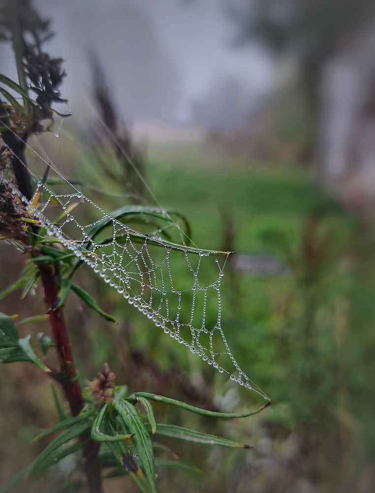 Photograph by Dina Chaica