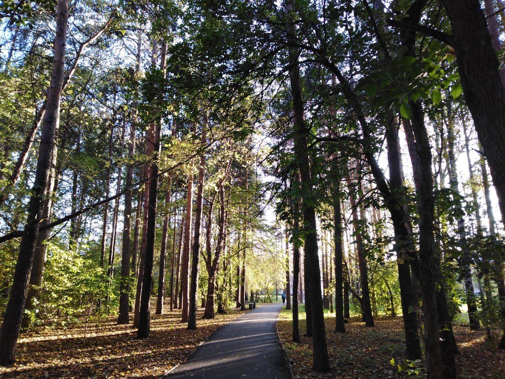 Photograph by Надежда Яковлева