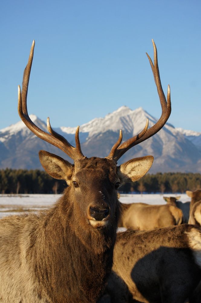 Photograph by Марина Рохлина