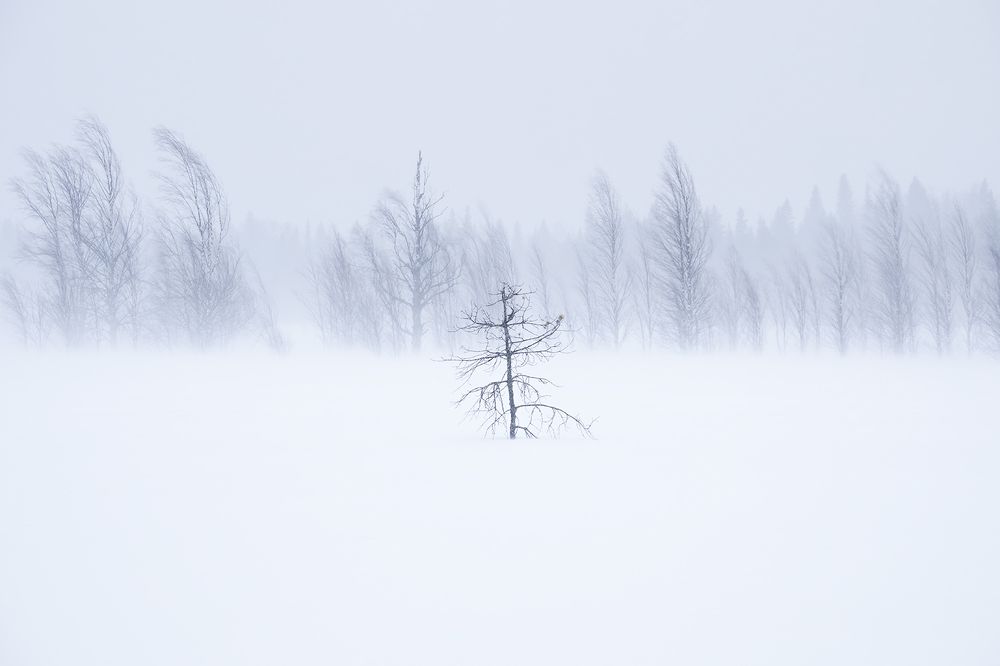 Photograph by Чаланов Иван