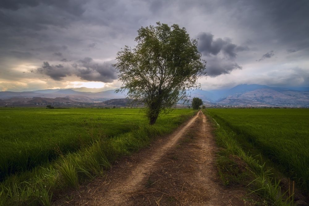 Photograph by Mamdouhi Saeed