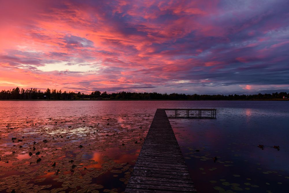Вечер на лесном озере