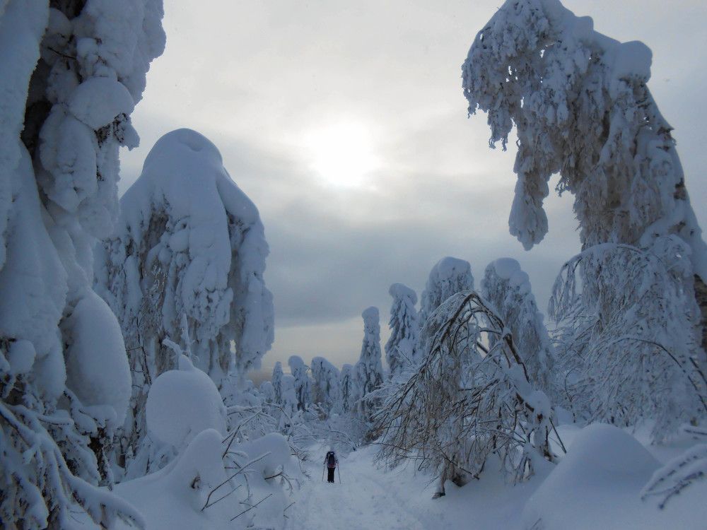 Photograph by Юлия