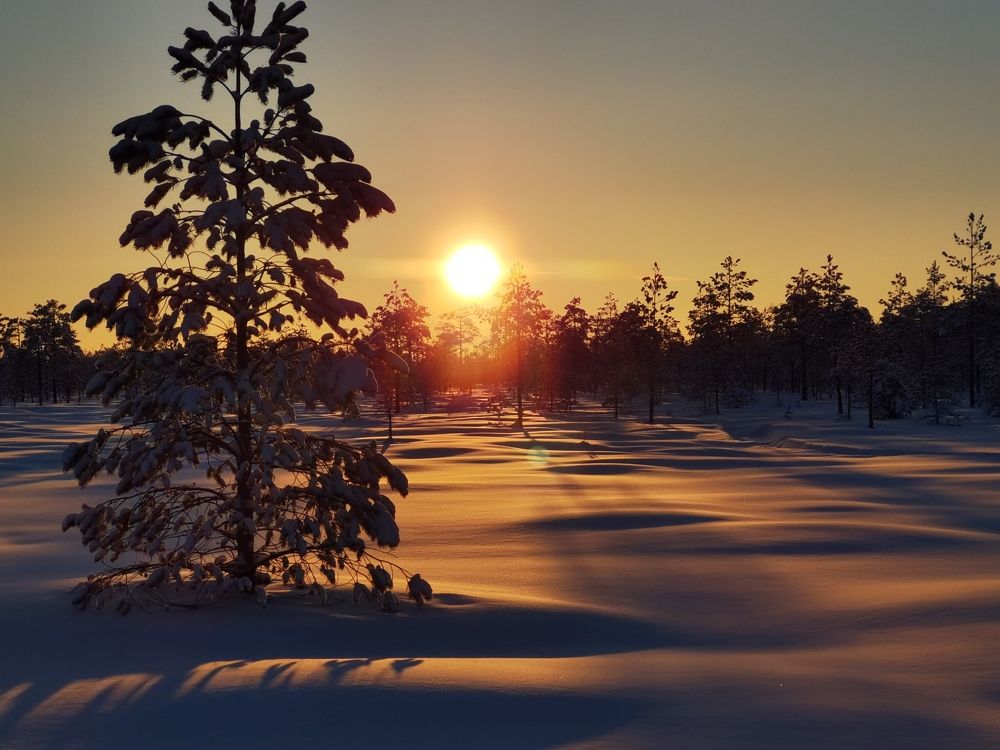 Photograph by Юлия