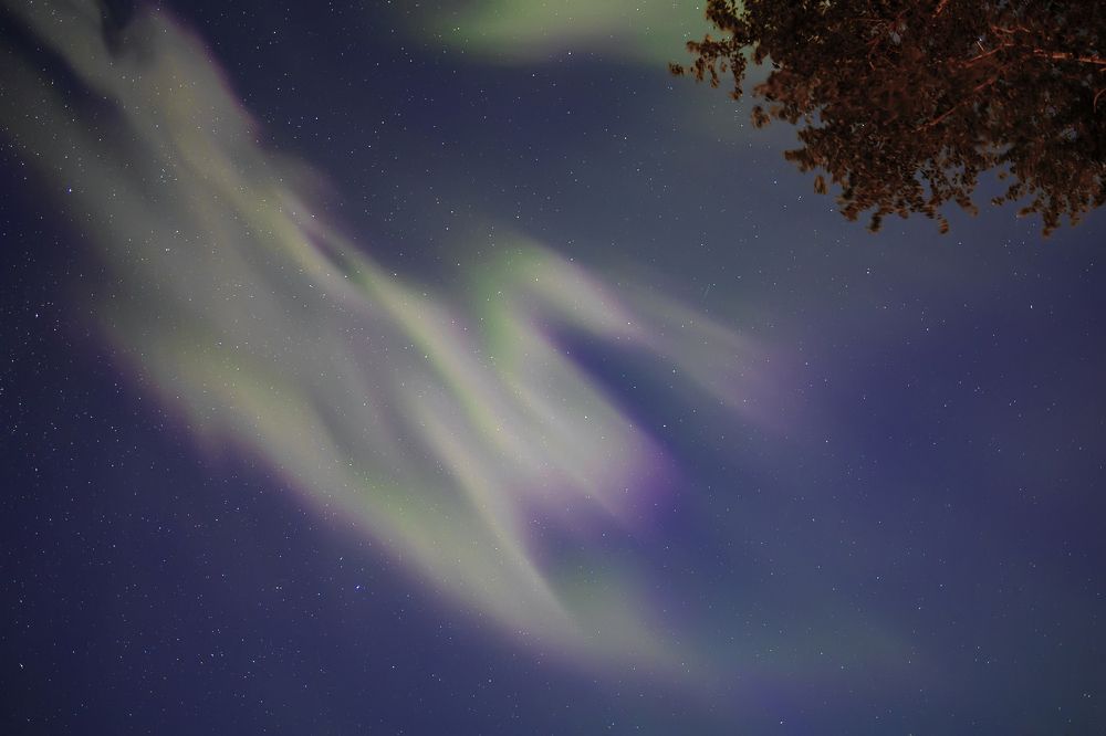 Photograph by Evgeniya Glinskaya